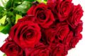 15 красных роз эксплорер